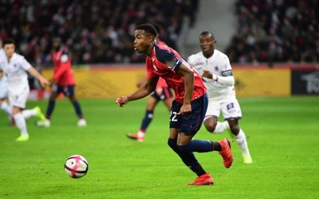 史蒂夫科尔 史蒂夫科尔