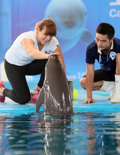 平对抗正是 平对抗正是