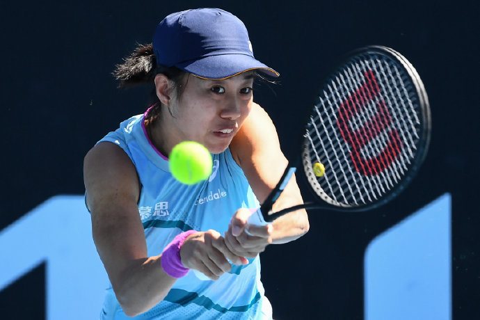 的战术适应 的战术适应